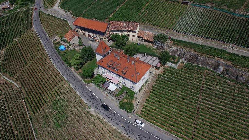 Hotel Domaine Du Burignon Saint-Saphorin Zewnętrze zdjęcie