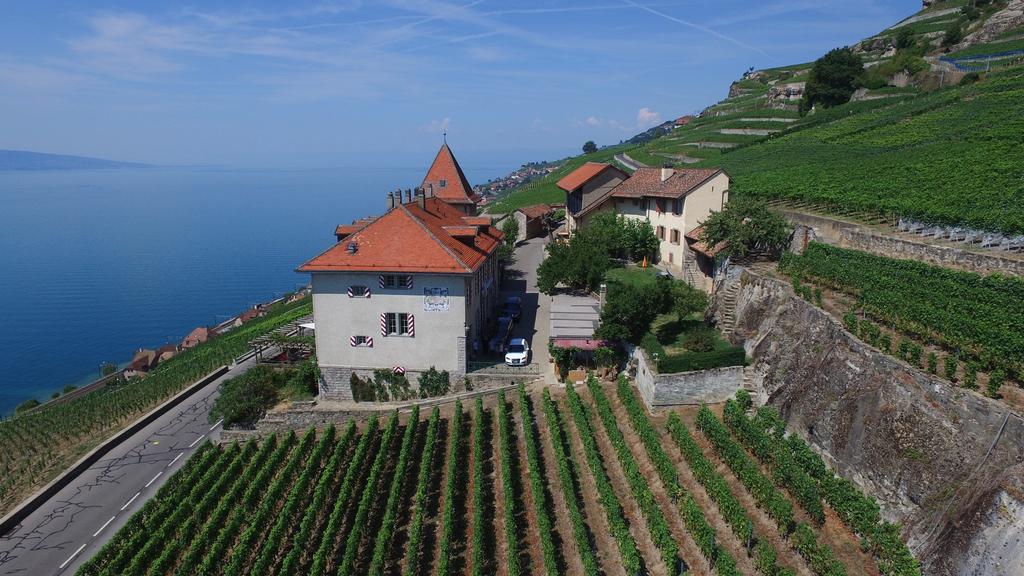Hotel Domaine Du Burignon Saint-Saphorin Zewnętrze zdjęcie
