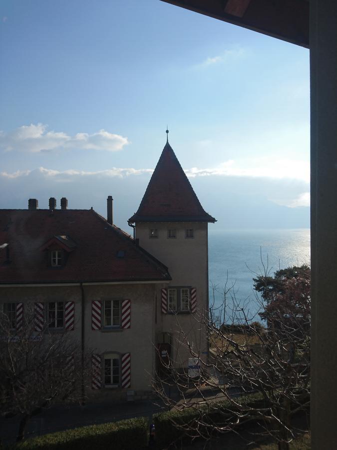 Hotel Domaine Du Burignon Saint-Saphorin Zewnętrze zdjęcie